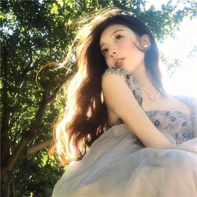 摇滚藏獒